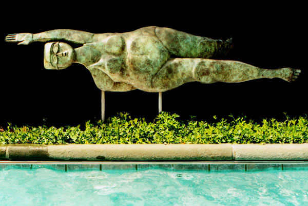 Swimmer