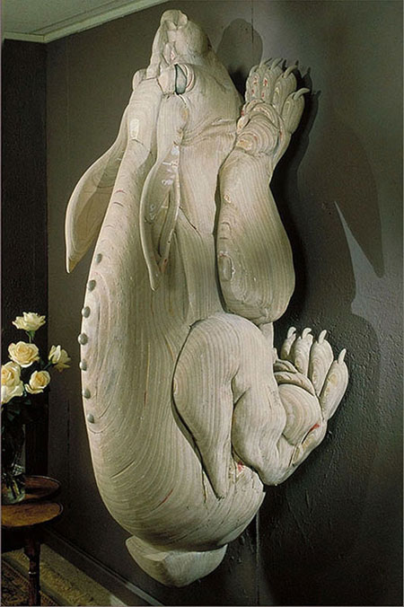 Wall Rabbit