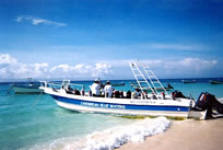 MEX-6a.jpg (81kb)