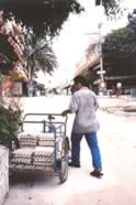 MEX-Da.jpg (108kb)