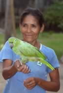 AMAZON-24.jpg (40kb)